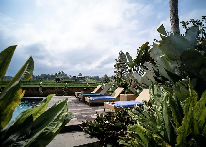 Padi Bali Retreat Hotel Payangan