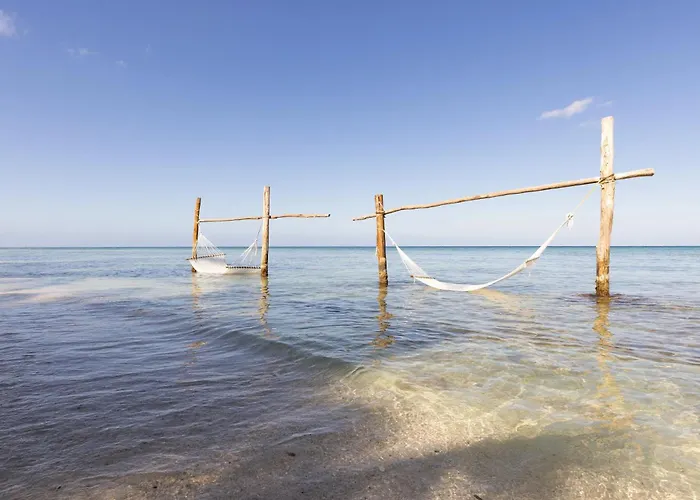 Hotel Sunscape Sabor Cozumel