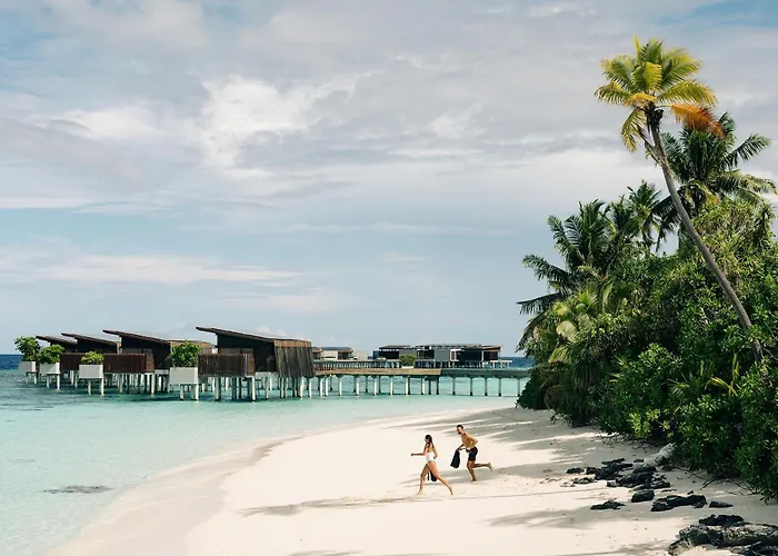 Park Hyatt Maldives Hadahaa Hotel Kondey