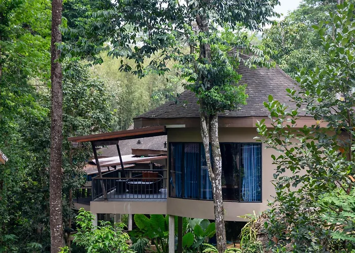 Rock And Tree House Resort