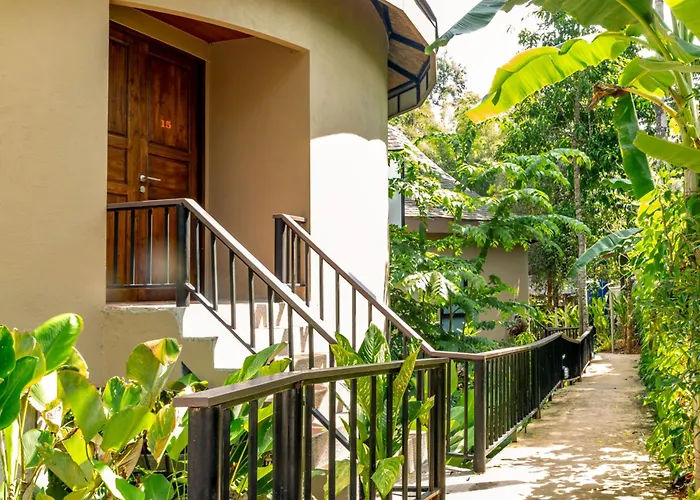 Rock And Tree House Resort