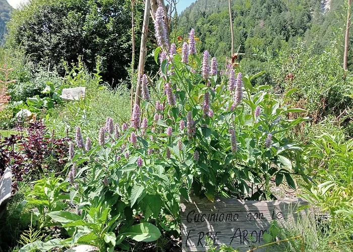 Alpi Giulie Chalets