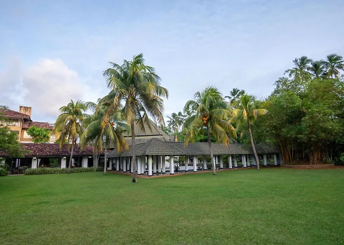 The Palms
