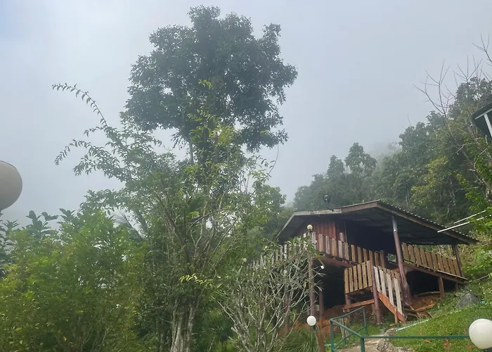 Forest Guesthouse