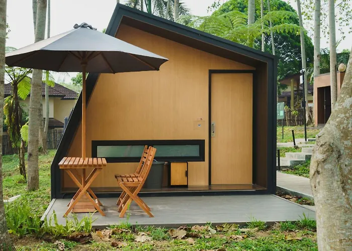 Bobocabin The Tavia, Puncak