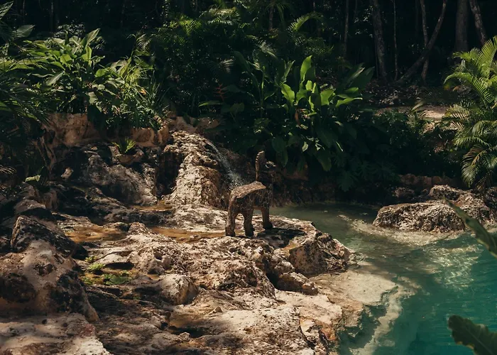 Amaite Retreat Tulum