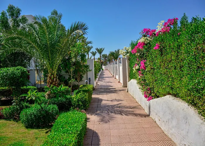Desert View Sharm