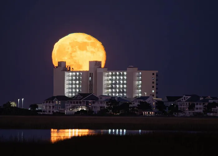 Shell Island Resort - All Oceanfront Suites Wrightsville Beach