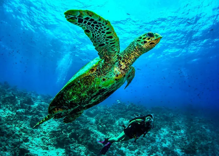 Dusit Thani Maldives - Mudhdhoo Island, Baa Atoll Amilla Fushi