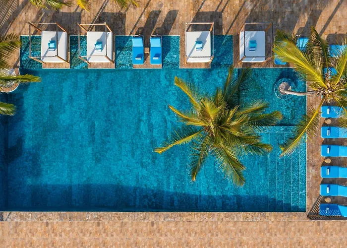 Le Mersenne Zanzibar, Autograph Collection