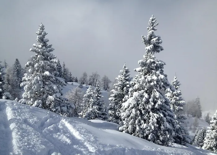 Hotel Lory - Molveno - Dolomiti