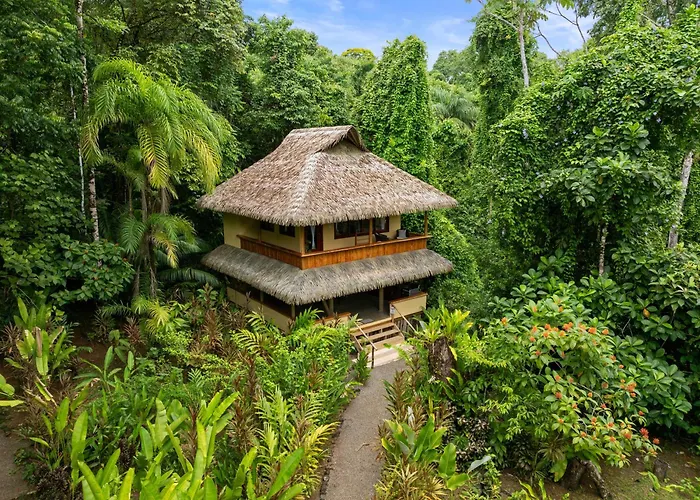 Copa De Arbol Beach&Rainforest Resort