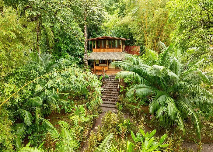 Copa De Arbol Beach&Rainforest Resort