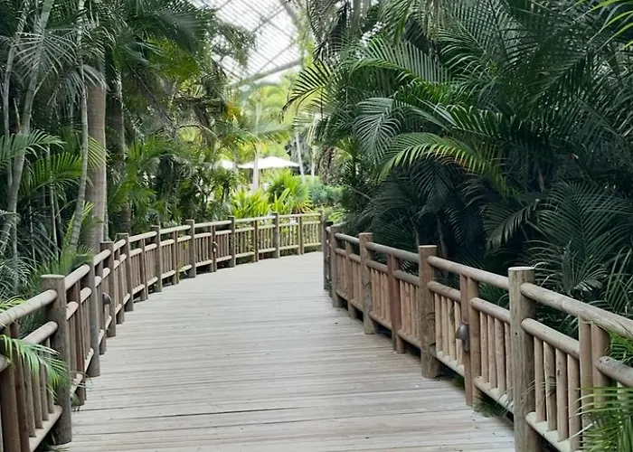 Vidanta Nuevo Vallarta