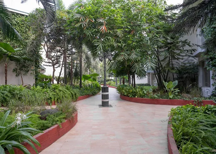 Greenfields And Convention