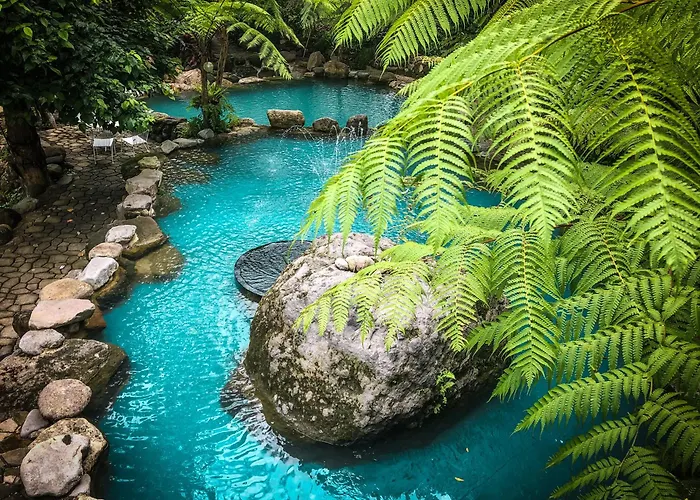 Forest Camp Valencia 