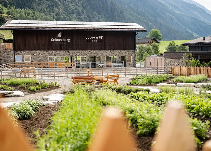 Hotel Schneeberg Family Resort&SPA
