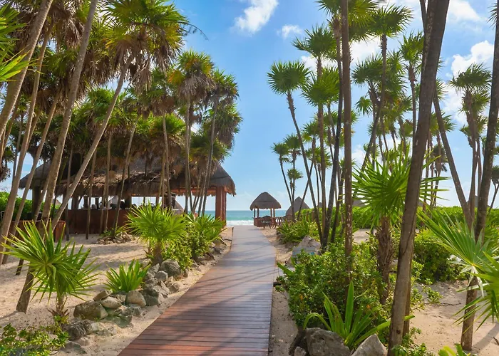Valentin Imperial Riviera Maya All Inclusive - Adults Only Playa Paraiso