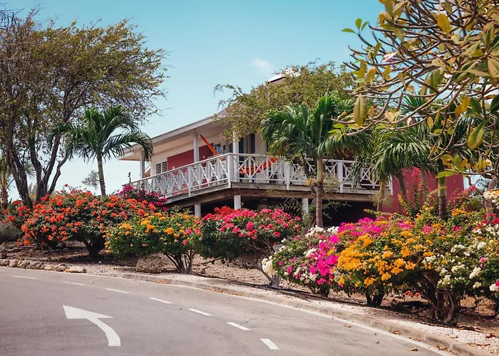 Chogogo Dive & Beach Resort Curacao