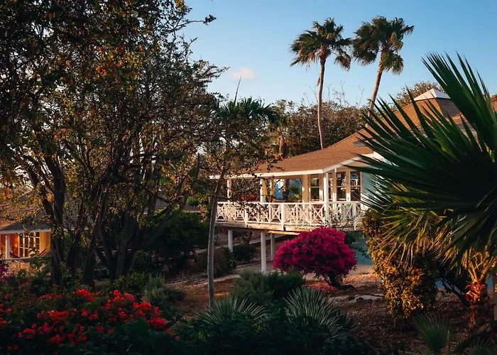 Chogogo Dive & Beach Resort Curacao Jan Thiel