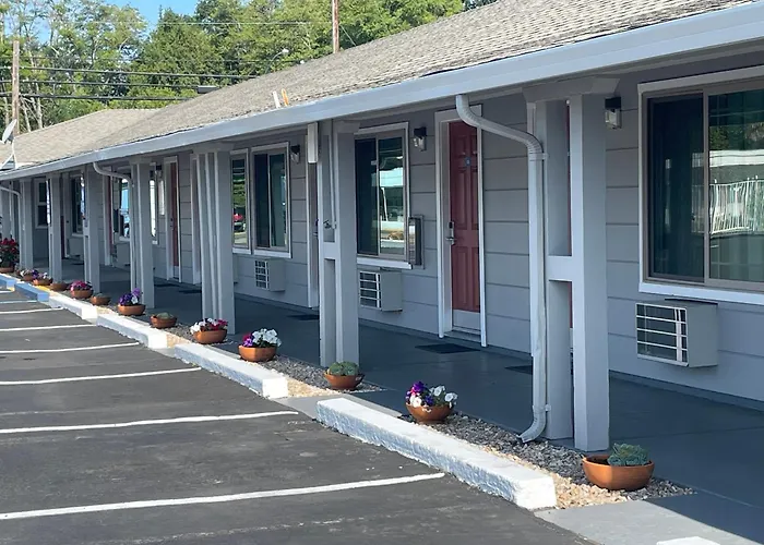 Lark Motel Willits