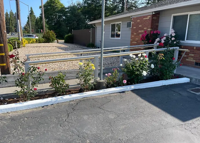 Lark Motel Willits