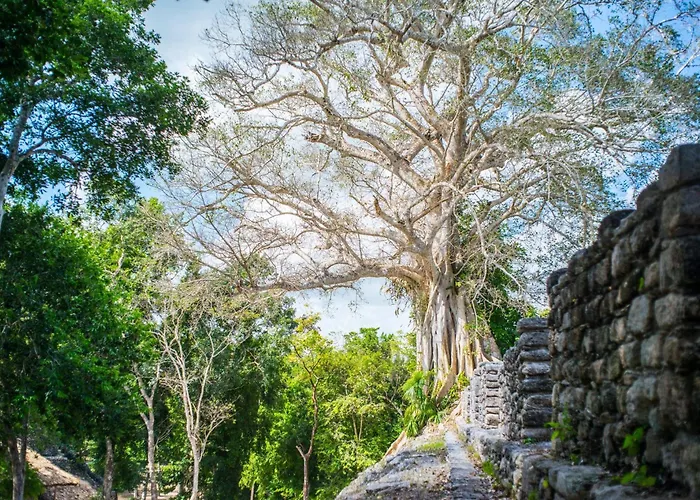 The Explorean Selva Maya Kohunlich Ruinas Kohunlích