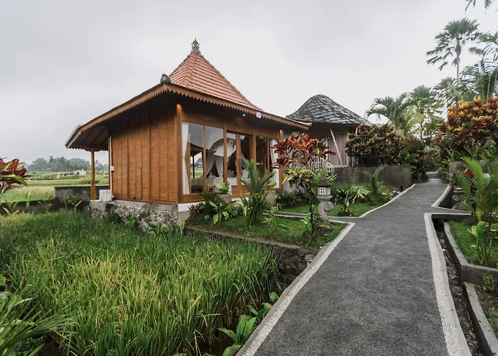 Padi Bali Retreat Hotel Payangan