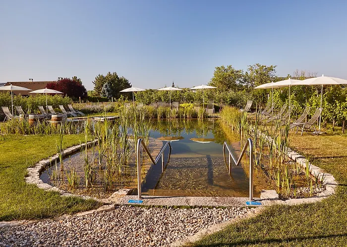 Loisium Wine & Spa Hotel Langenlois