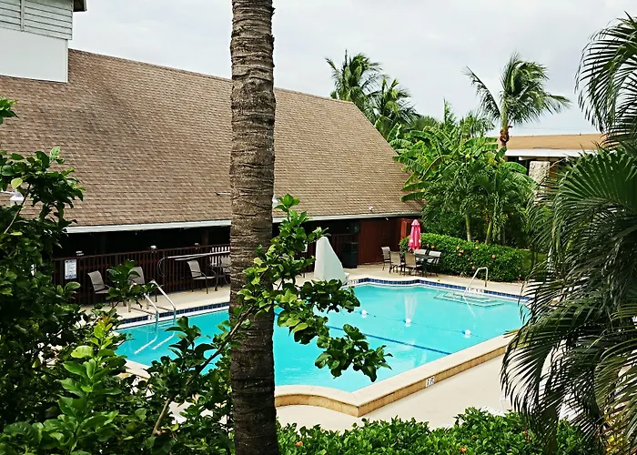 Dolphin Key -