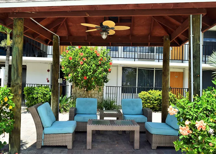 Dolphin Key -