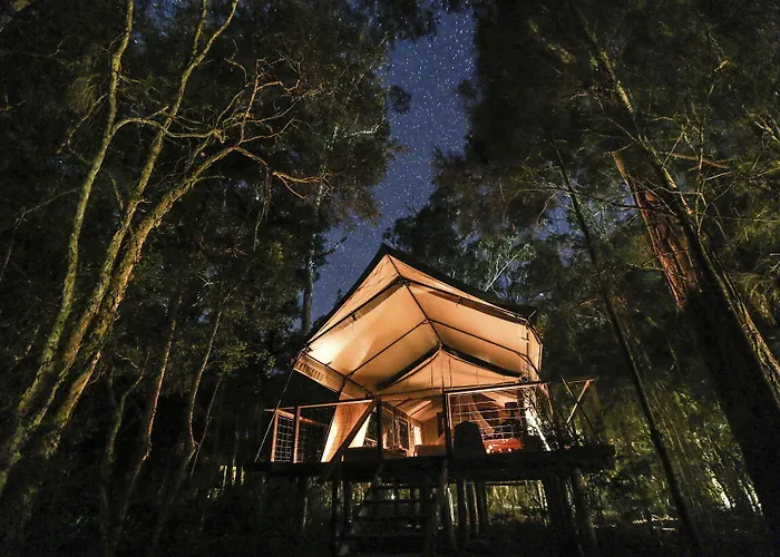 Paperbark Camp