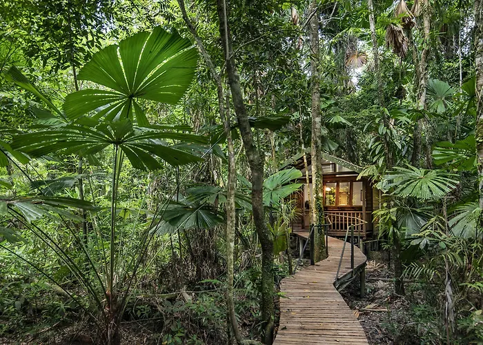 Daintree Wilderness Lodge