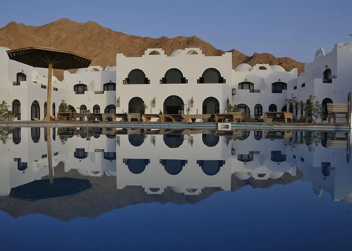 Daniela Diving Resort Dahab