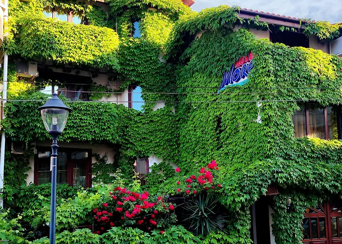 More Family Hotel
