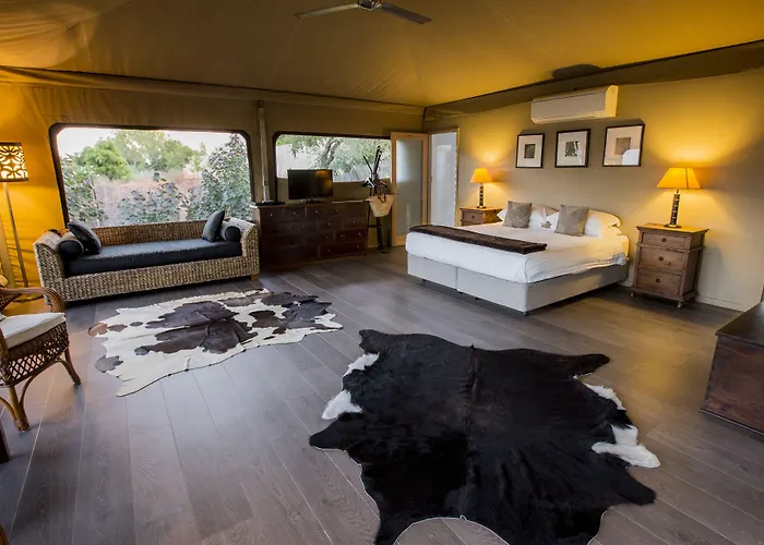 Billi
