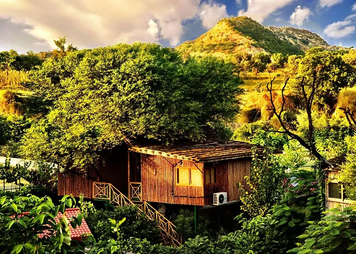 The Tree House Resort, A Club Mahindra Associate