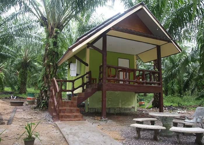 Khao Sok Palmview