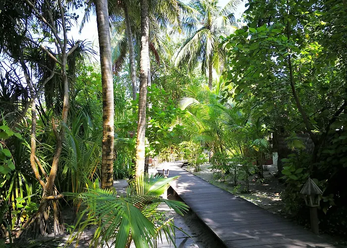 Gangehi Island Resort & Spa