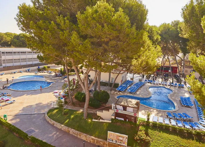 Mll Palma Bay Club Resort El Arenal 