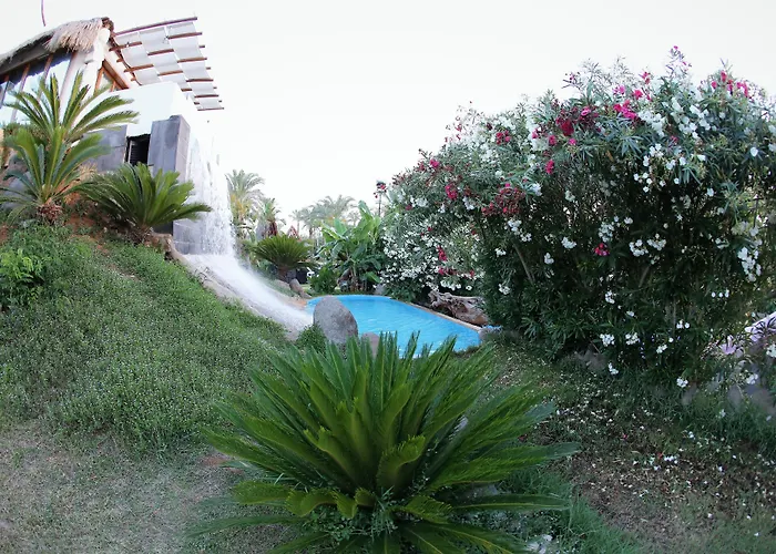 Jhotelresorts Damour