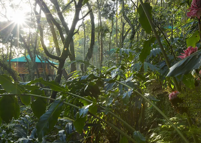 Dream Catcher Plantation Resort Munnar