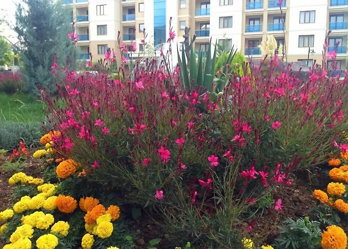 Grand Ozgul Thermal Holiday Village