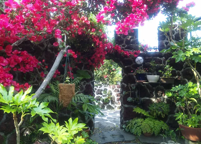 J-Garden