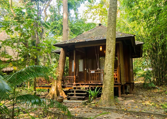 The Barefoot At Havelock