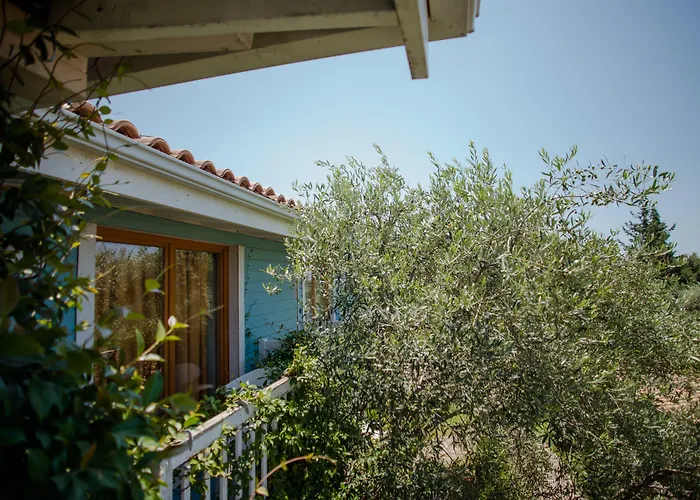 Drymades Inn Resort Dhërmi