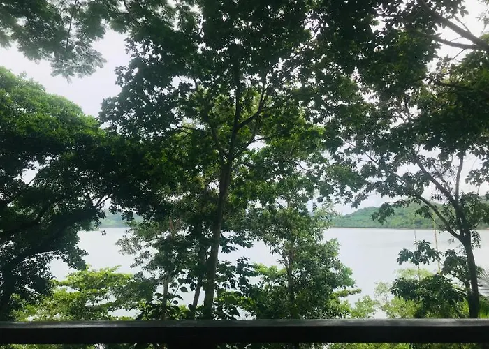 Discovery Island