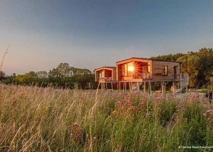 Ostsee Baumhaushotel - Auf Höhe der Baumkronen Wangels
