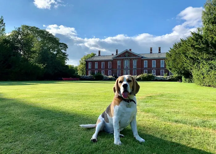Bosworth Hall Hotel & Spa
