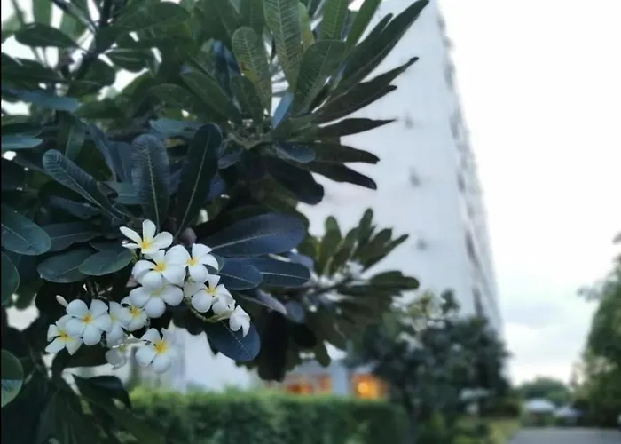 The Park Hotel Pattaya